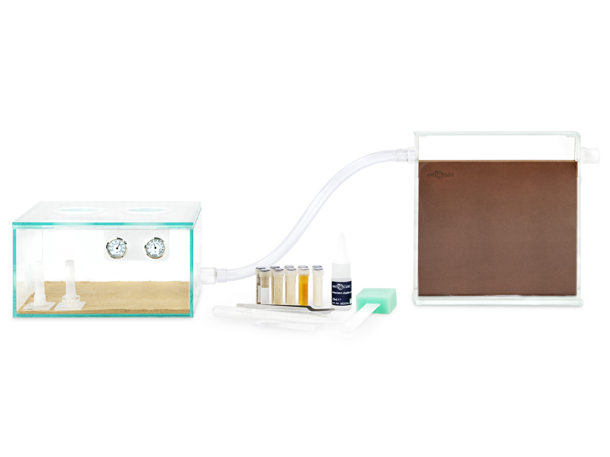 ANTCUBE Starter Set Digfix für Ameisen