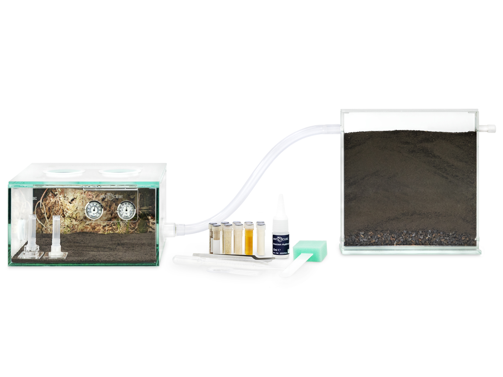 ANTCUBE Starter Set Wald Lebensraum für Ameisen
