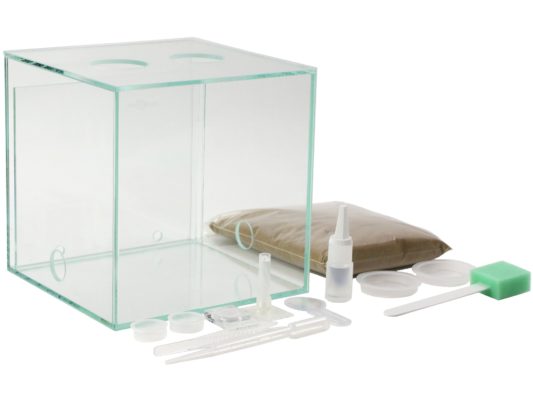 ANTCUBE入门套装M - 20x20x20厘米 - 饲养蚂蚁的组合物