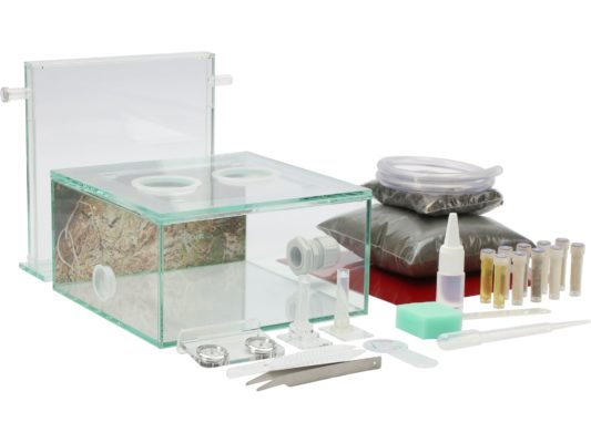 ANTCUBE Starter Set M - 20x20 - Hábitat forestal para hormigas