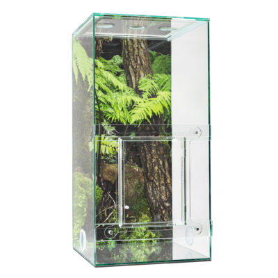 ANTCUBE - Starter set per formiche tessitrici - grande formicaio in vetro 1005649 con porta scorrevole e parete posteriore con foto del bosco