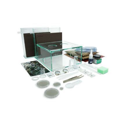 ANTCUBE Starter Set para especies de hormigas Messor o cosechadoras