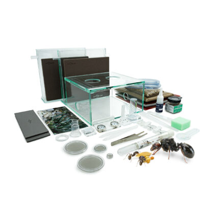 Bundle Offer Messor barbarus Formicarium inklusive en myrekoloni - Ant Terrarium Formicarium Starter Bundle til at holde myrekolonier derhjemme som kæledyr eller til en hobby
