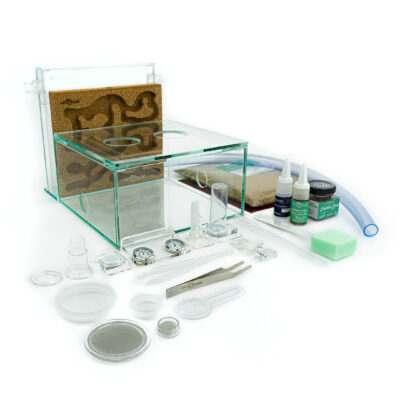 ANTCUBE Starter Set L - 20x20 cm - Liège pour l'élevage de fourmis