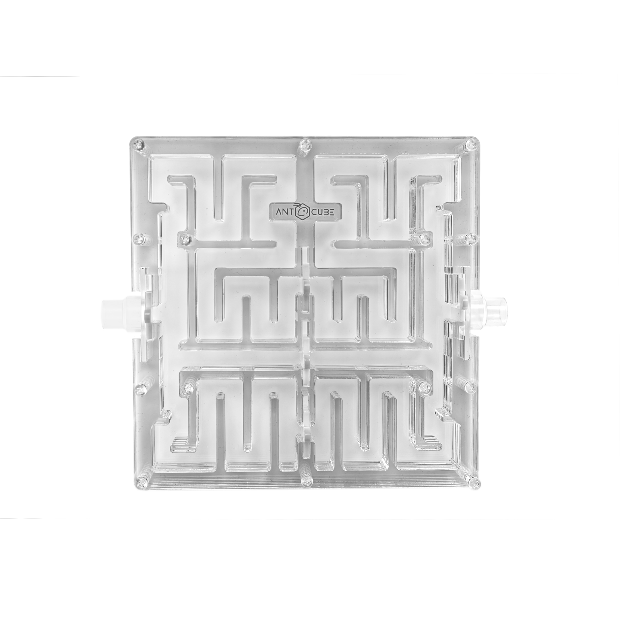 アンファッジ　セット Ant Maze 20×20 – L - ANTCUBE